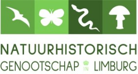 Archäologie im Rheinland