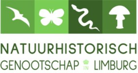 Archäologie im Rheinland